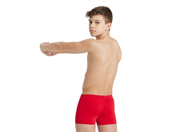 Arena B Team Swim Short Solid Red 