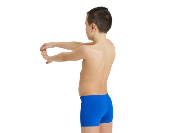 Arena B Team Swim Short Solid Royal 