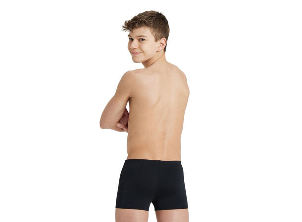 Arena B Team Swim Short Solid Black 