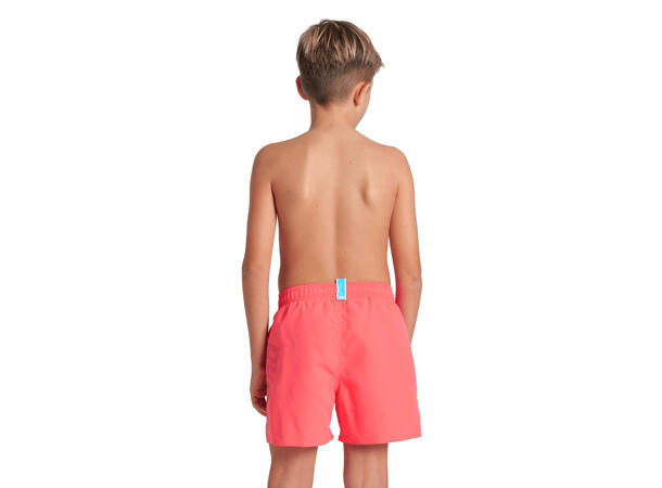 Arena B Fundamentals Logo Boxer JR Calypso Coral 