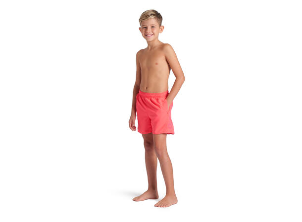 Arena B Fundamentals Logo Boxer JR Calypso Coral 